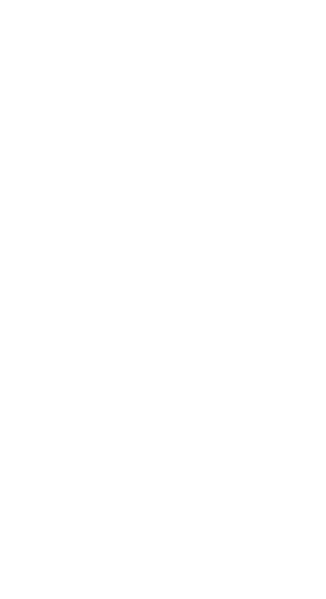 Logo Studio Ananas